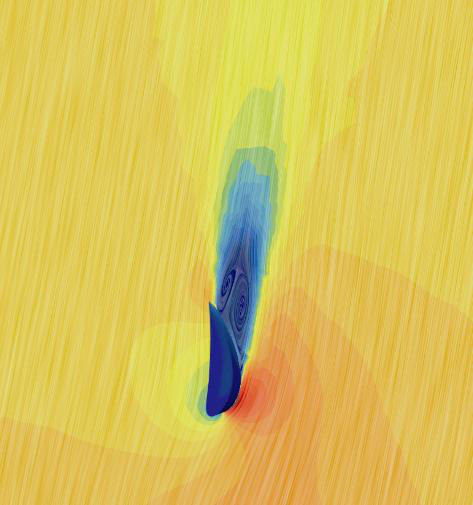 Velocity vector field around the canopy sail